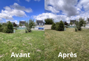 Photo de galerie - Tonte de pelouse - Débroussaillage