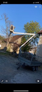 Photo de galerie - Elagage et coupe d'arbres