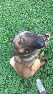 Photo de galerie - Daemon mon grand amour 