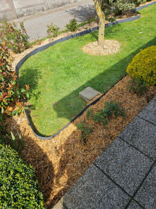 Photo de galerie - Paysagiste - Aménagement du jardin