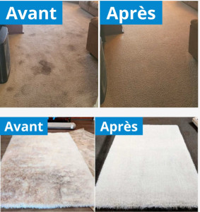 Photo de galerie - Nettoyage tapis