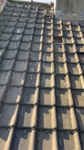 Photo de galerie - Grattage de mouse sans pose dhydrofuge