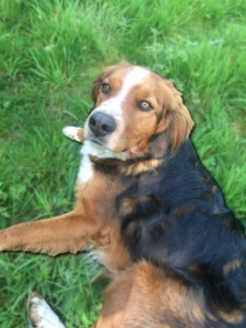 Photo de galerie - Quelques minutes de repos !