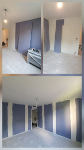 Photo de galerie - Doubler les murs avec les plaqueaux fauniques.