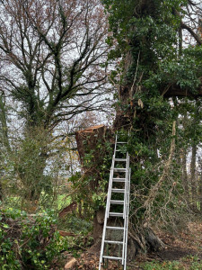 Photo de galerie - Pendant Chantier de l’arme d’un mètre de diamètre