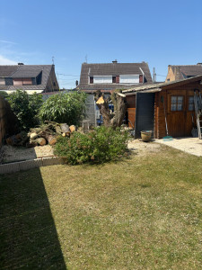 Photo de galerie - Abattage d’arbre ?