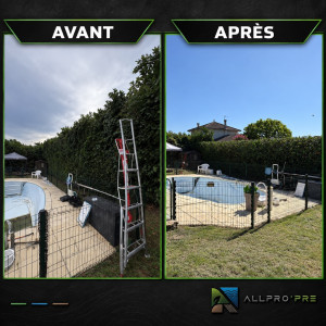 Photo de galerie - Taille haie 