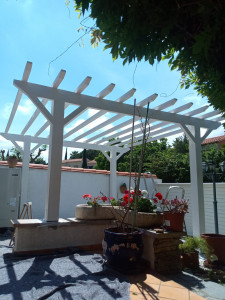 Photo de galerie - Création d'un carpot