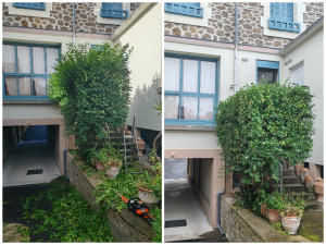 Photo de galerie - Taille de haies et d'arbustes