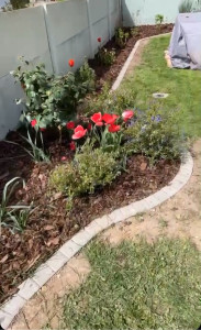 Photo de galerie - Plantation + délimitation massif avec des pavés + écorces