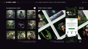 Photo de galerie - Réseaux sociaux et montage photo pour présenter l'équipe. 