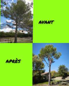 Photo de galerie - ELAGAGE GORDE 2025.
