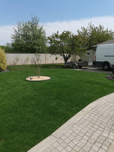 Photo de galerie - Pose de gazon en rouleau naturel