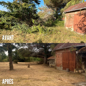 Photo de galerie - élagage 