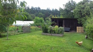 Photo de galerie - Vue du parc avec un carré potager, au fond cabane et poulailler et sur la gauche le jardin.
