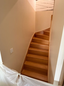 Photo de galerie - Rénove escalier avec penture 
