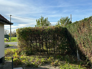 Photo de galerie - Après 