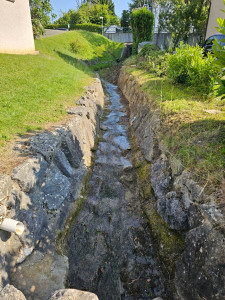 Photo de galerie - Tonte de pelouse - Débroussaillage