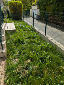 Photo de galerie - Tonte de pelouse - Débroussaillage