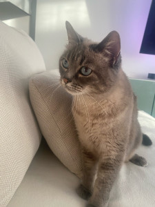 Photo de galerie - Garde Luna Août 