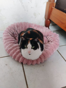 Photo de galerie - Océane 