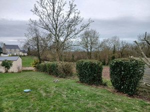 Photo de galerie - Taille de haies et d'arbustes