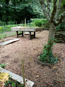 Photo de galerie - Tonte de pelouse - Débroussaillage