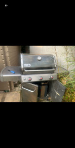 Photo de galerie - Avant mon passage remise au propre 