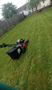 Photo de galerie - Petite tonte de pelouse