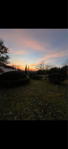 Photo de galerie - Taille de haies et d'arbustes