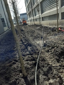 Photo de galerie - Paysagiste - Aménagement du jardin