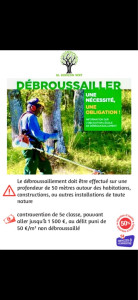 Photo de galerie - Tonte de pelouse - Débroussaillage