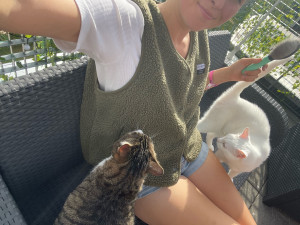 Photo de galerie - Garde chat