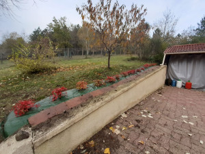 Photo de galerie - Réfection d'une rangée d'arbustes
