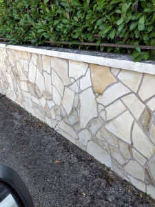 Photo de galerie - Taille de haie plus pose de faïence sur mur de clôture