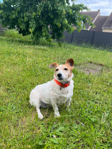 Photo de galerie - Nala