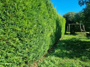 Photo de galerie - Avant