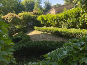 Photo de galerie - Taillage de haie/tonte de pelouse/et débroussaillage 