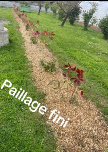 Photo de galerie - Plantation d'une haies 