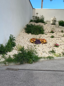 Photo de galerie - Paysagiste - Aménagement du jardin