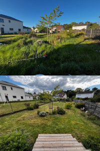 Photo de galerie - Remise en état et débroussaillage jardin de 1500m2 à St Avertin