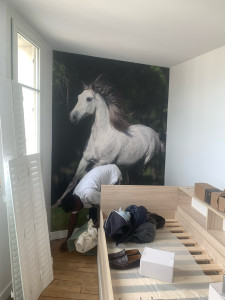 Photo de galerie - Pose papier decoration sur mur