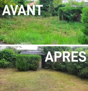 Photo de galerie - AVANT-APRES