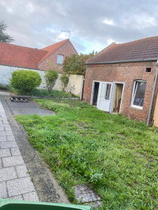 Photo de galerie - Désherbage + taille 