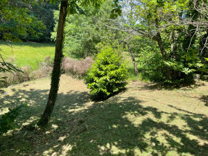 Photo de galerie - Espace vert