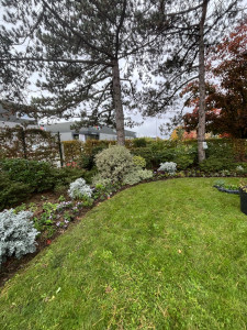 Photo de galerie - Taille,désherbage+ plantation 