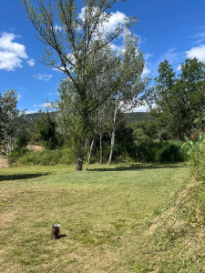 Photo de galerie - Débroussaillage 