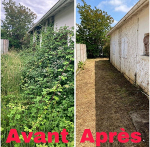 Photo de galerie - Debroussaillage 