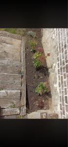 Photo de galerie - Paysagiste - Aménagement du jardin