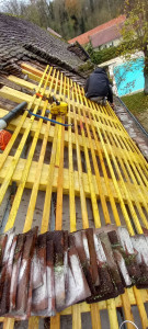 Photo de galerie - Couverture - Toiture